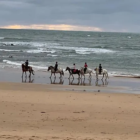 Les Sables Vigniers